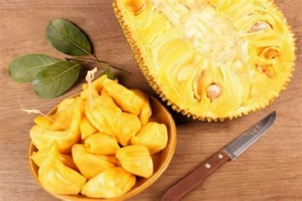 Berbagai manfaat buah dan biji Nangka